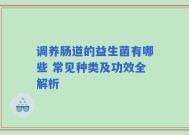 调养肠道的益生菌有哪些 常见种类及功效全解析
