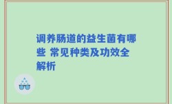 调养肠道的益生菌有哪些 常见种类及功效全解析