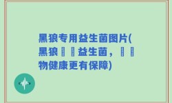 黑狼专用益生菌图片(黑狼專屬益生菌，讓寵物健康更有保障)
