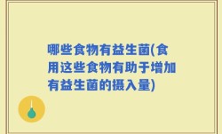 哪些食物有益生菌(食用这些食物有助于增加有益生菌的摄入量)