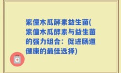 紫僮木瓜酵素益生菌(紫僮木瓜酵素与益生菌的强力组合：促进肠道健康的最佳选择)