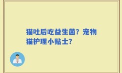 猫吐后吃益生菌？宠物猫护理小贴士？