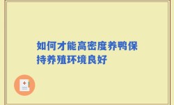 如何才能高密度养鸭保持养殖环境良好
