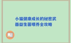小猫健康成长的秘密武器益生菌喂养全攻略