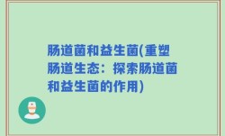 肠道菌和益生菌(重塑肠道生态：探索肠道菌和益生菌的作用)