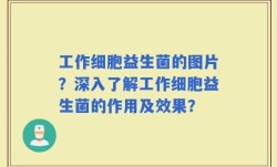 工作细胞益生菌的图片？深入了解工作细胞益生菌的作用及效果？