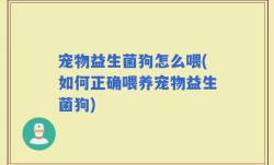 宠物益生菌狗怎么喂(如何正确喂养宠物益生菌狗)