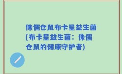 侏儒仓鼠布卡星益生菌(布卡星益生菌：侏儒仓鼠的健康守护者)
