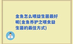 金鱼怎么喂益生菌最好呢(金鱼养护之喂食益生菌的最佳方式)