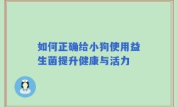如何正确给小狗使用益生菌提升健康与活力