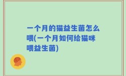 一个月的猫益生菌怎么喂(一个月如何给猫咪喂益生菌)