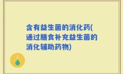 含有益生菌的消化药(通过膳食补充益生菌的消化辅助药物)