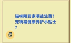 猫咪刚到家喂益生菌？宠物猫健康养护小贴士？