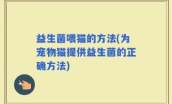益生菌喂猫的方法(为宠物猫提供益生菌的正确方法)