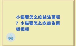 小猫要怎么吃益生菌呢？小猫要怎么吃益生菌呢视频