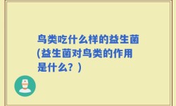 鸟类吃什么样的益生菌(益生菌对鸟类的作用是什么？)