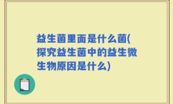 益生菌里面是什么菌(探究益生菌中的益生微生物原因是什么)