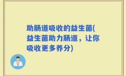 助肠道吸收的益生菌(益生菌助力肠道，让你吸收更多养分)