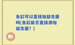 鱼缸可以直接加益生菌吗(鱼缸能否直接添加益生菌？)