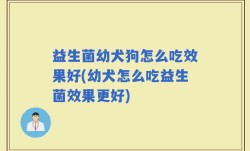 益生菌幼犬狗怎么吃效果好(幼犬怎么吃益生菌效果更好)