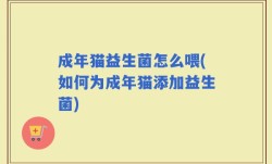 成年猫益生菌怎么喂(如何为成年猫添加益生菌)