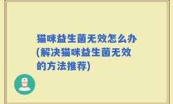 猫咪益生菌无效怎么办(解决猫咪益生菌无效的方法推荐)