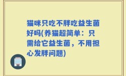 猫咪只吃不胖吃益生菌好吗(养猫超简单：只需给它益生菌，不用担心发胖问题)