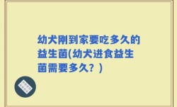 幼犬刚到家要吃多久的益生菌(幼犬进食益生菌需要多久？)