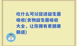 吃什么可以促进益生菌吸收(食物益生菌吸收大全，让你拥有更健康肠道)