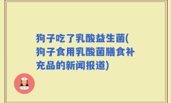 狗子吃了乳酸益生菌(狗子食用乳酸菌膳食补充品的新闻报道)
