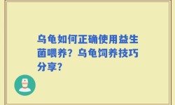 乌龟如何正确使用益生菌喂养？乌龟饲养技巧分享？