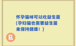 怀孕猫咪可以吃益生菌(孕妇猫也需要益生菌来保持健康！)