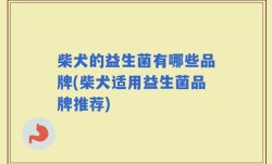 柴犬的益生菌有哪些品牌(柴犬适用益生菌品牌推荐)