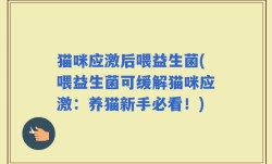 猫咪应激后喂益生菌(喂益生菌可缓解猫咪应激：养猫新手必看！)