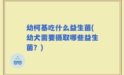 幼柯基吃什么益生菌(幼犬需要摄取哪些益生菌？)