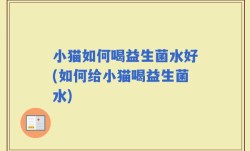 小猫如何喝益生菌水好(如何给小猫喝益生菌水)