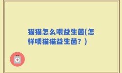 猫猫怎么喂益生菌(怎样喂猫猫益生菌？)