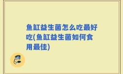 鱼缸益生菌怎么吃最好吃(鱼缸益生菌如何食用最佳)