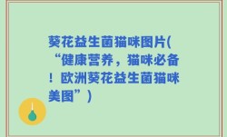 葵花益生菌猫咪图片(“健康营养，猫咪必备！欧洲葵花益生菌猫咪美图”)