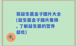 装益生菌盒子图片大全(益生菌盒子图片集锦, 了解益生菌的营养益处)