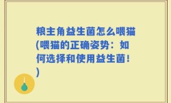 粮主角益生菌怎么喂猫(喂猫的正确姿势：如何选择和使用益生菌！)