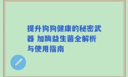 提升狗狗健康的秘密武器 加酶益生菌全解析与使用指南