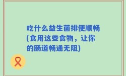 吃什么益生菌排便顺畅(食用这些食物，让你的肠道畅通无阻)