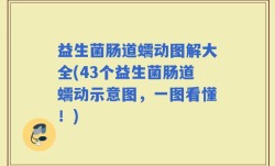 益生菌肠道蠕动图解大全(43个益生菌肠道蠕动示意图，一图看懂！)