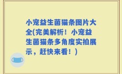 小宠益生菌猫条图片大全(完美解析！小宠益生菌猫条多角度实拍展示，赶快来看！)
