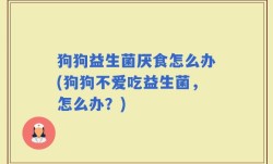 狗狗益生菌厌食怎么办(狗狗不爱吃益生菌，怎么办？)