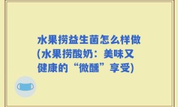 水果捞益生菌怎么样做(水果捞酸奶：美味又健康的“微醺”享受)