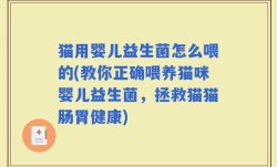 猫用婴儿益生菌怎么喂的(教你正确喂养猫咪婴儿益生菌，拯救猫猫肠胃健康)