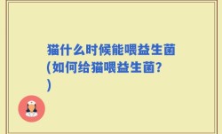 猫什么时候能喂益生菌(如何给猫喂益生菌？)
