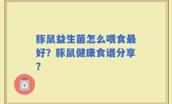 豚鼠益生菌怎么喂食最好？豚鼠健康食谱分享？